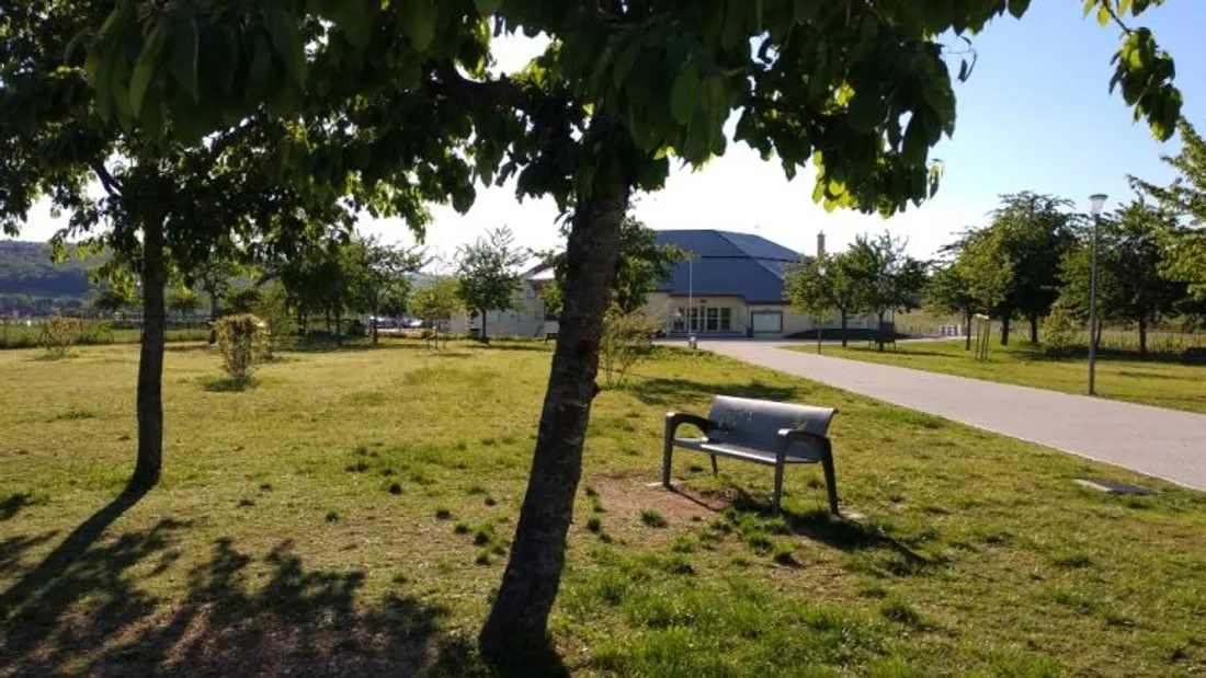 Vide grenier, maquillage et zumba ce dimanche à Marsannay-la-Côte
